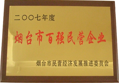 2007年度烟台市百强民营企业
