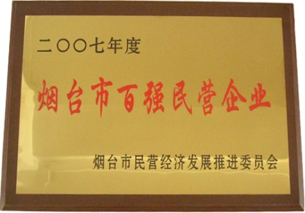 2007年度烟台市百强民营企业