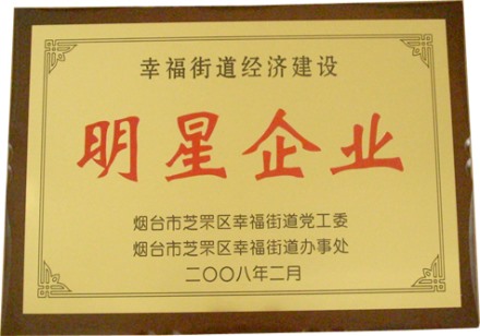 幸福街道经济建设明星企业
