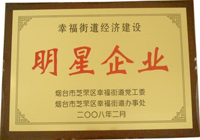 幸福街道经济建设明星企业