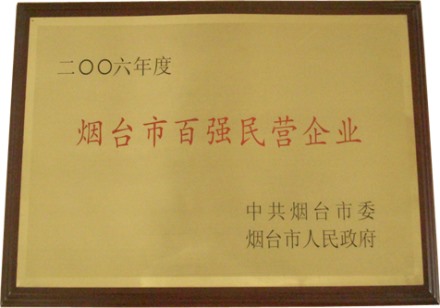 2006年度烟台市百强民营企业