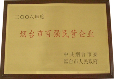 2006年度烟台市百强民营企业
